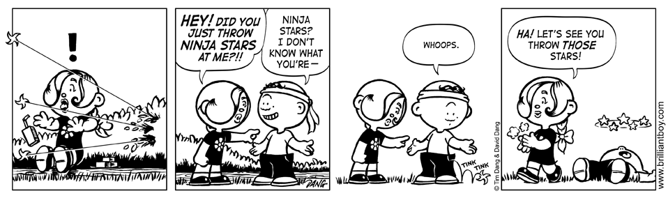 Ninja Stars